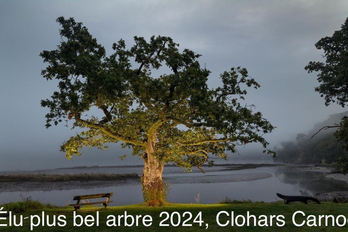Ty Glazu Doelan Espace 60M2, Port& Criques A Pied, 2 Chambres Privees Au 1Er Etage, Sdb, Wc Separe Clohars-Carnoët Exterior foto